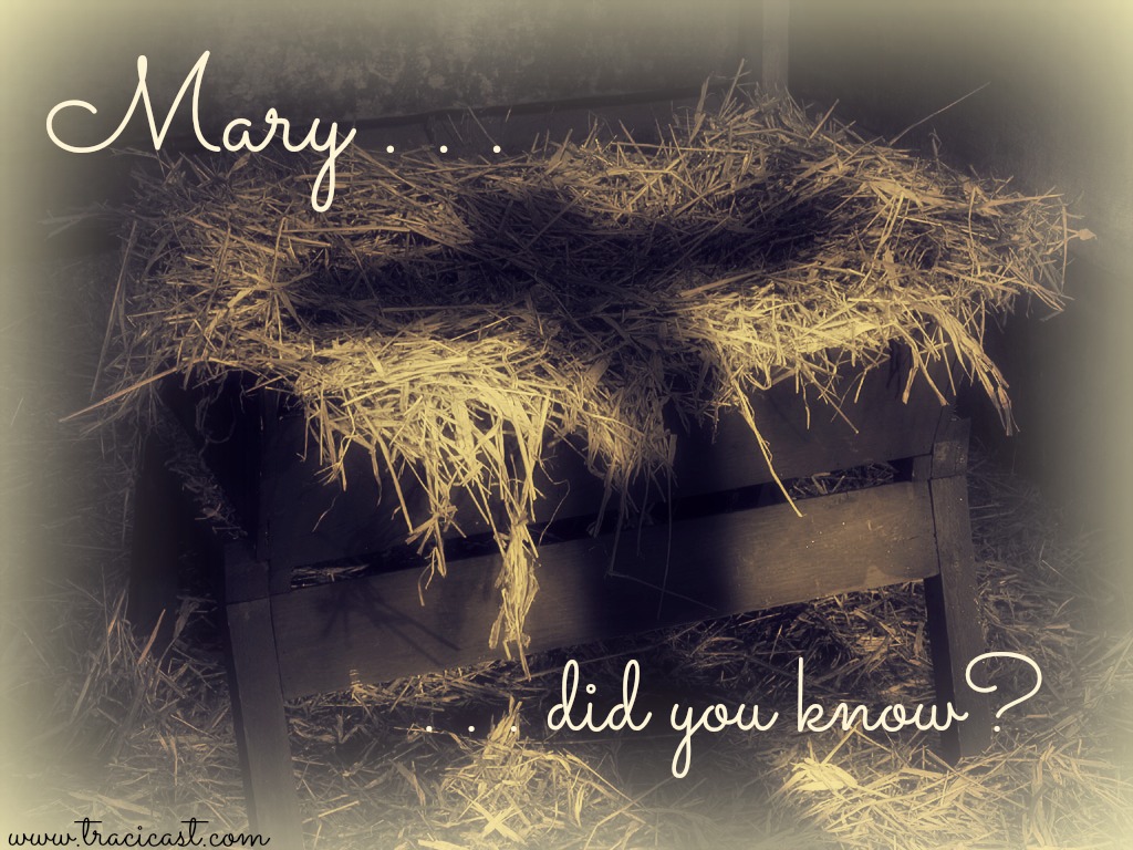 Special Music - Mary Did You Know