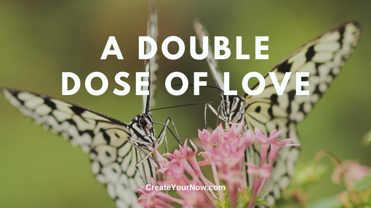 1855 A Double Dose of Love