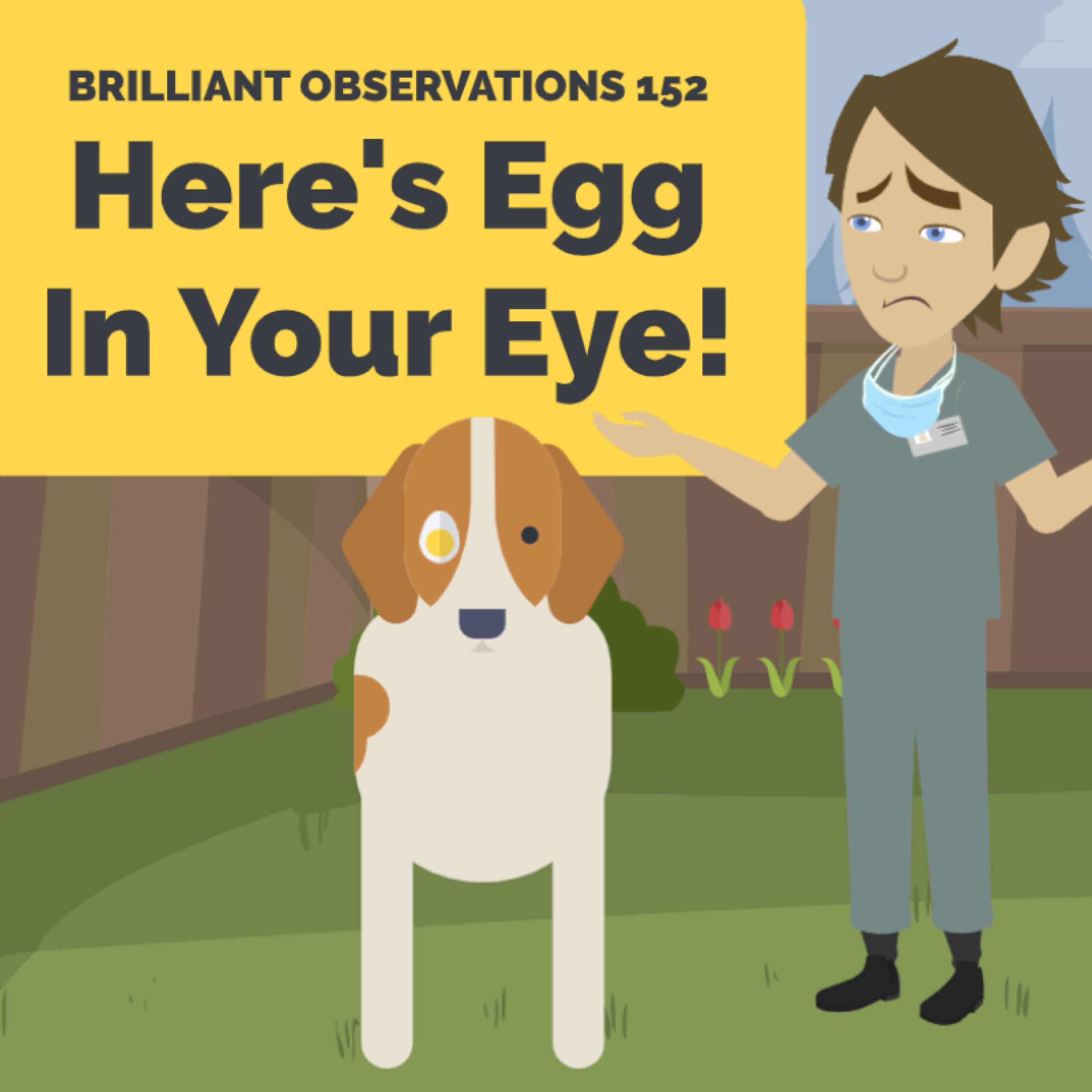Here's Egg In Your Eye!  |  Brilliant Observations 152
