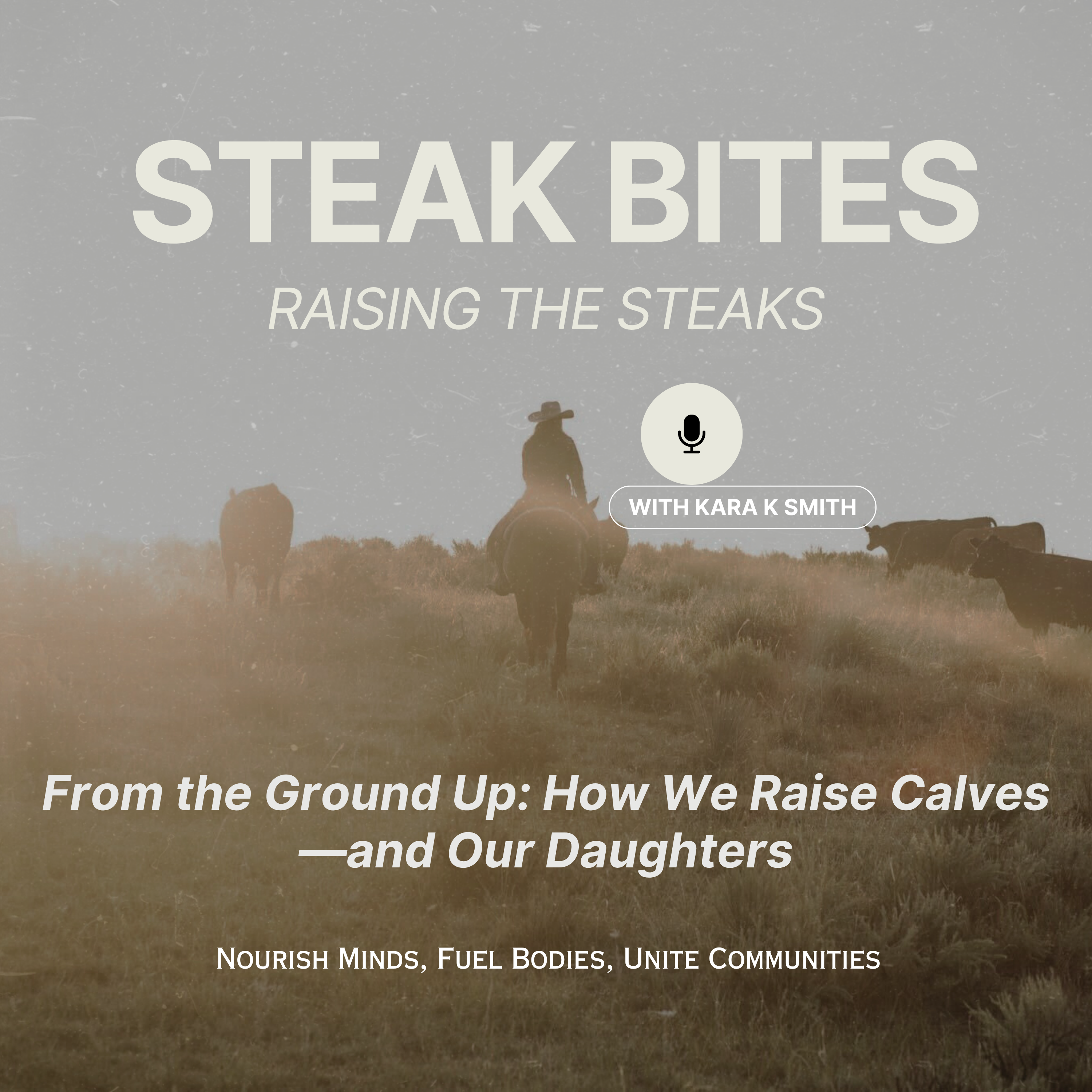 Steak Bites