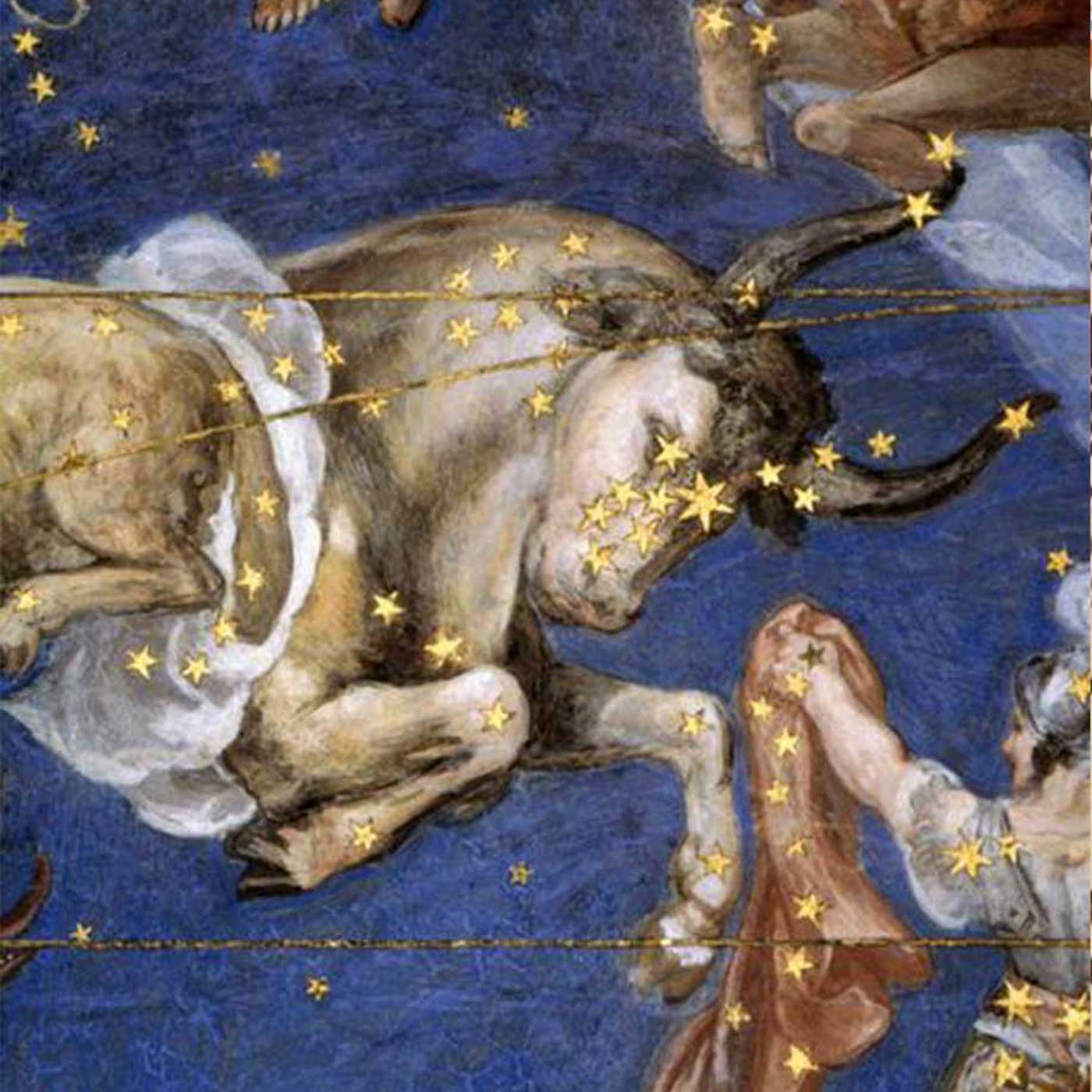 Taurus Season Reflections