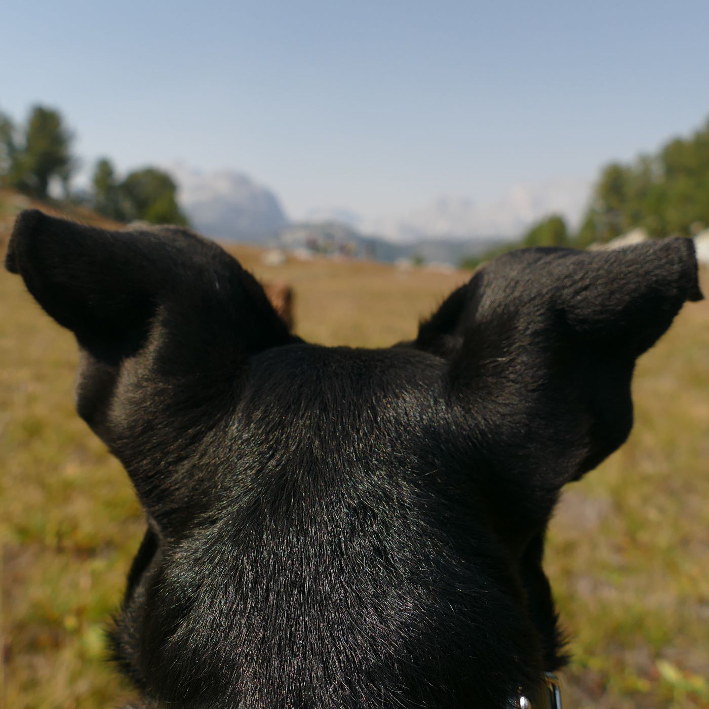 Leadership communications with Rob Cottingham