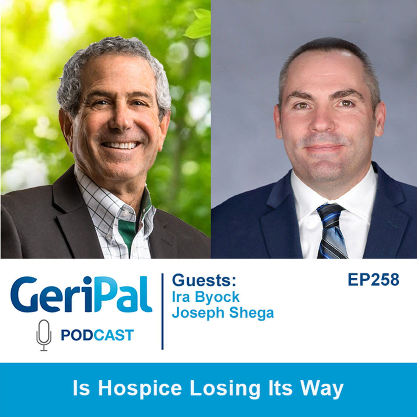 GeriPal - A Geriatrics and Palliative Care Podcast
