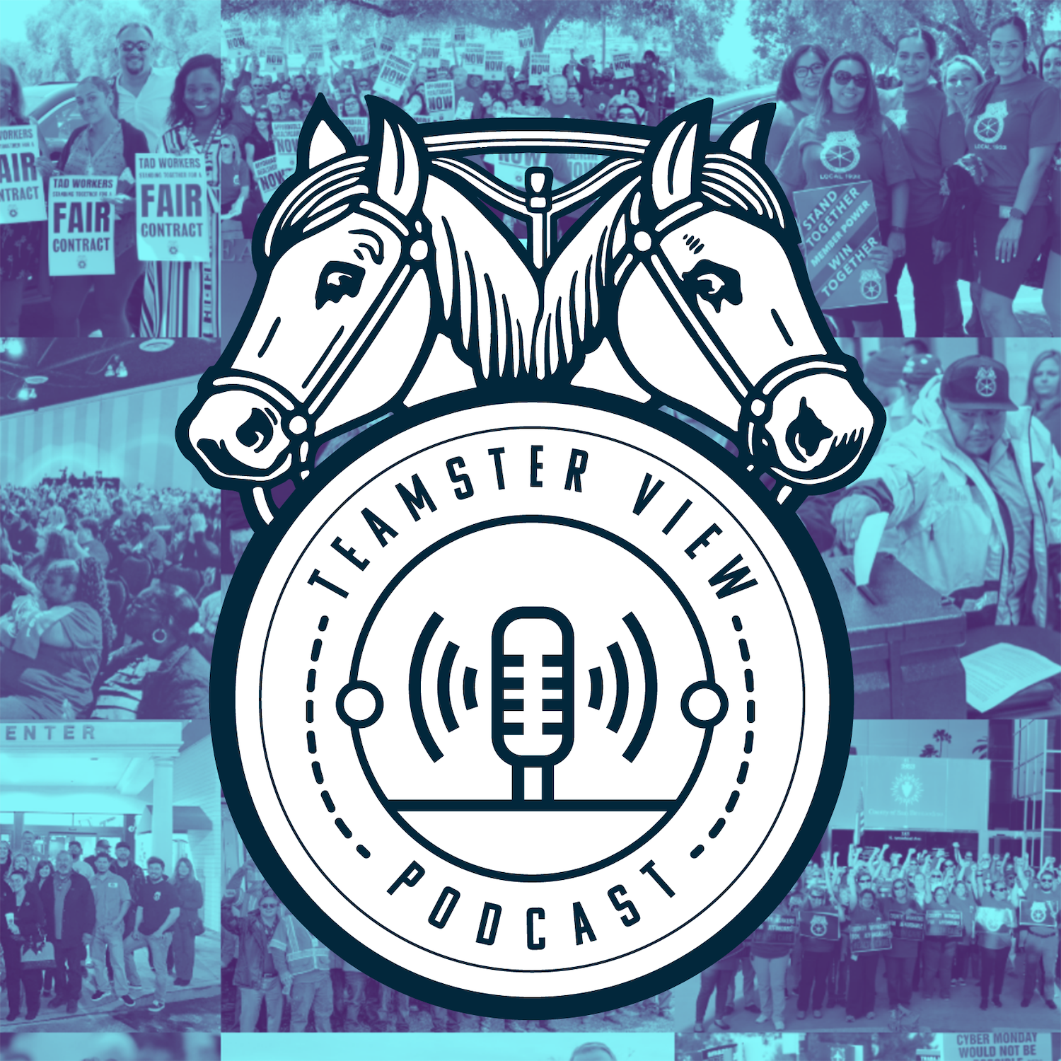 The Teamster View