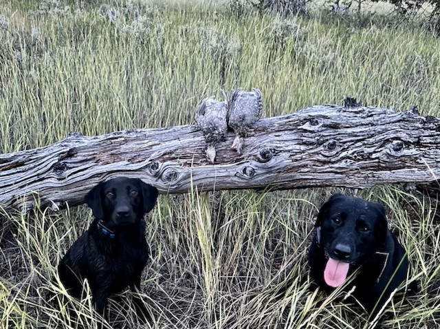 Setting up the Hunting Rig with Casey Hawks from DECKED