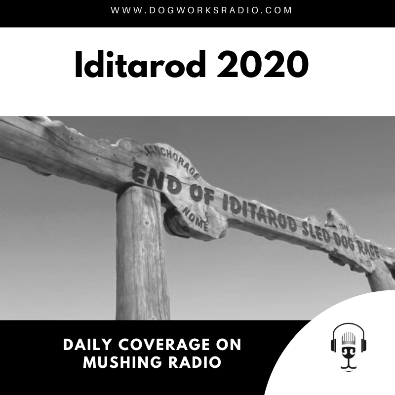 Iditarod 2020 March 19 Coverage