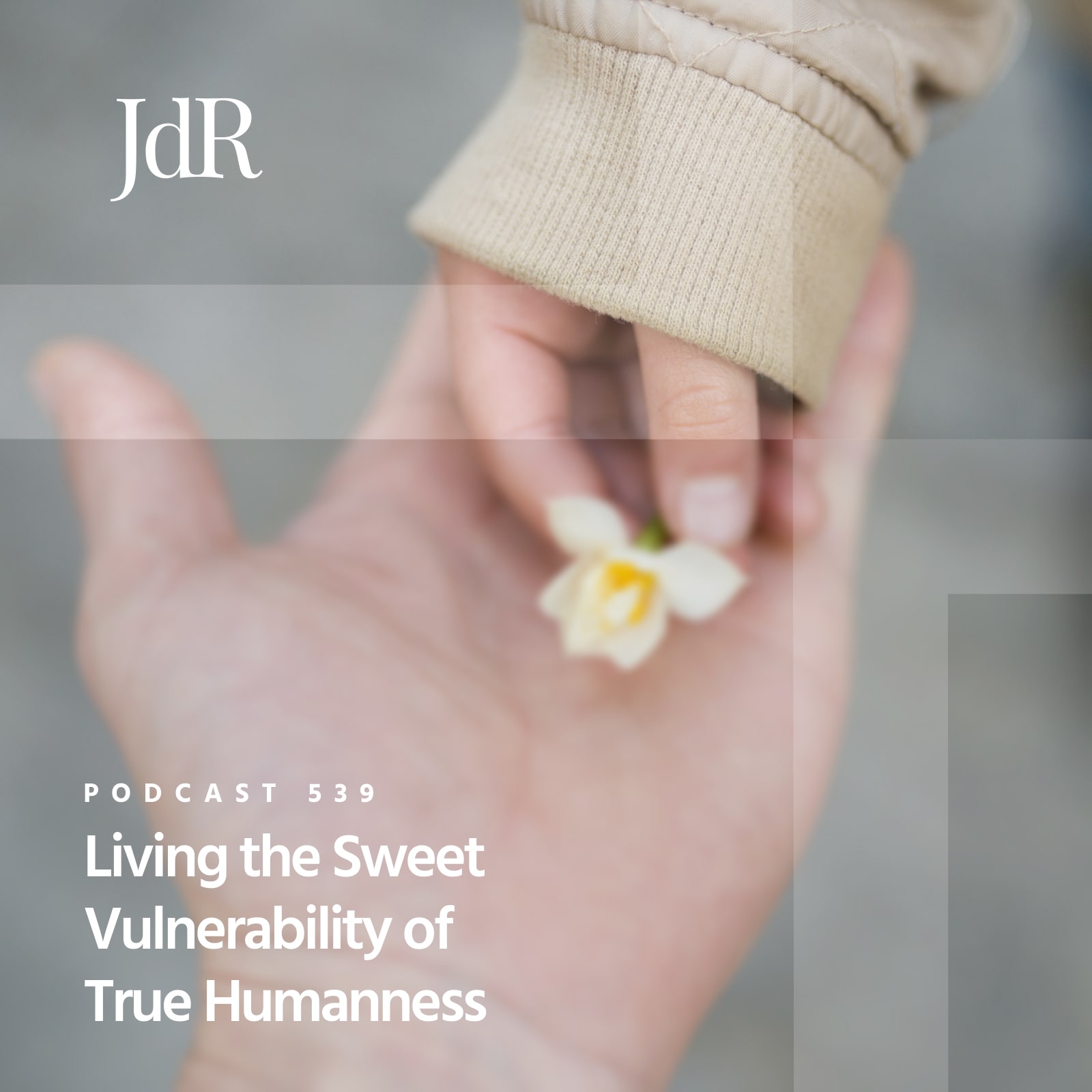 JdR Podcast 539 - Living the Sweet Vulnerability of True Humanness