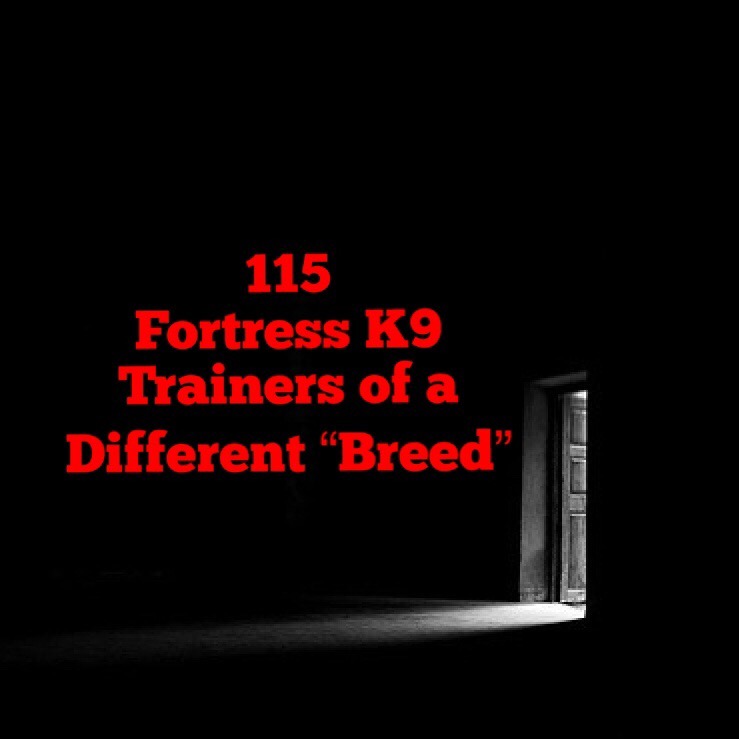 cover of episode Fortress K9 - Canine Training of a Different "Breed"