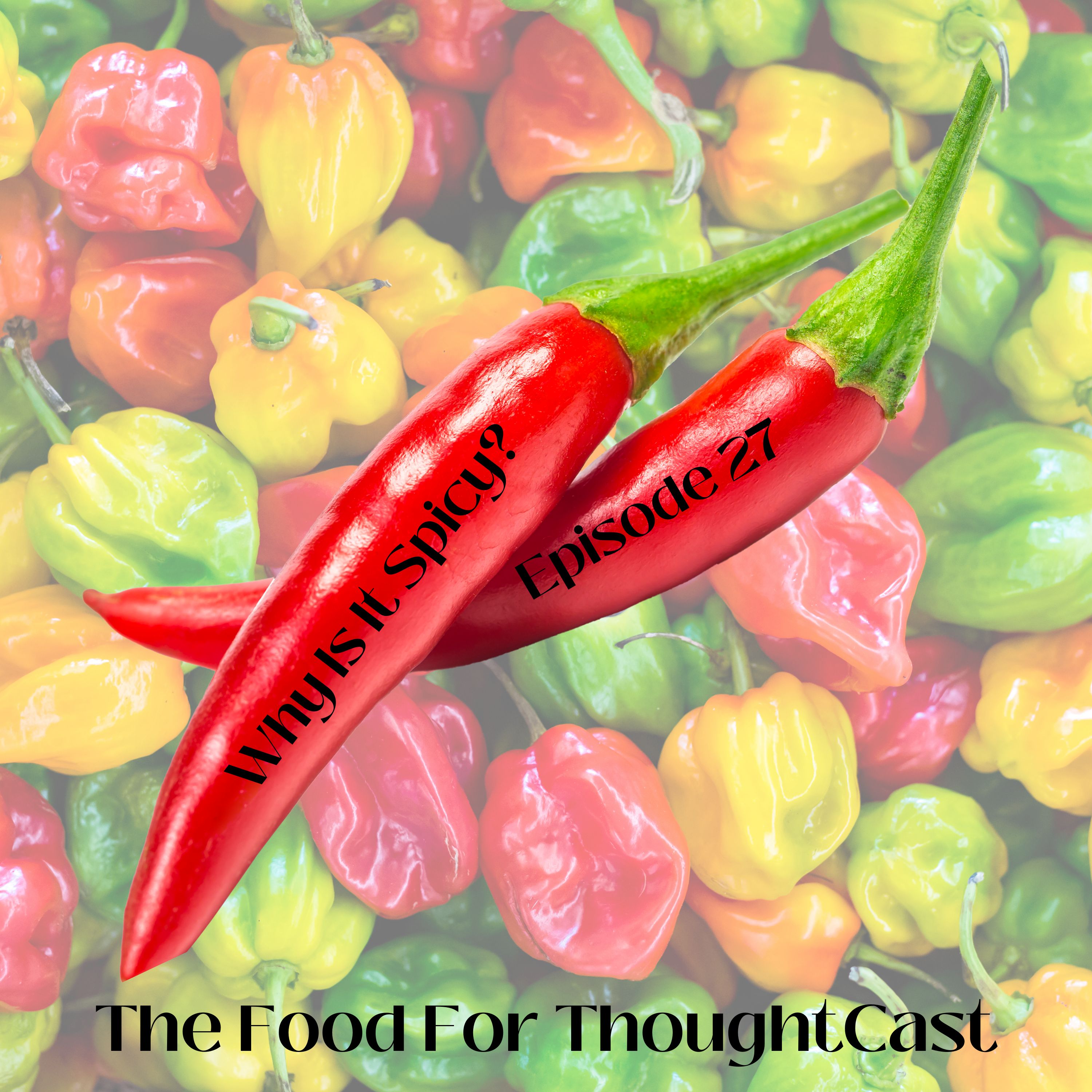 The Food For ThoughtCast: Call Me Chef