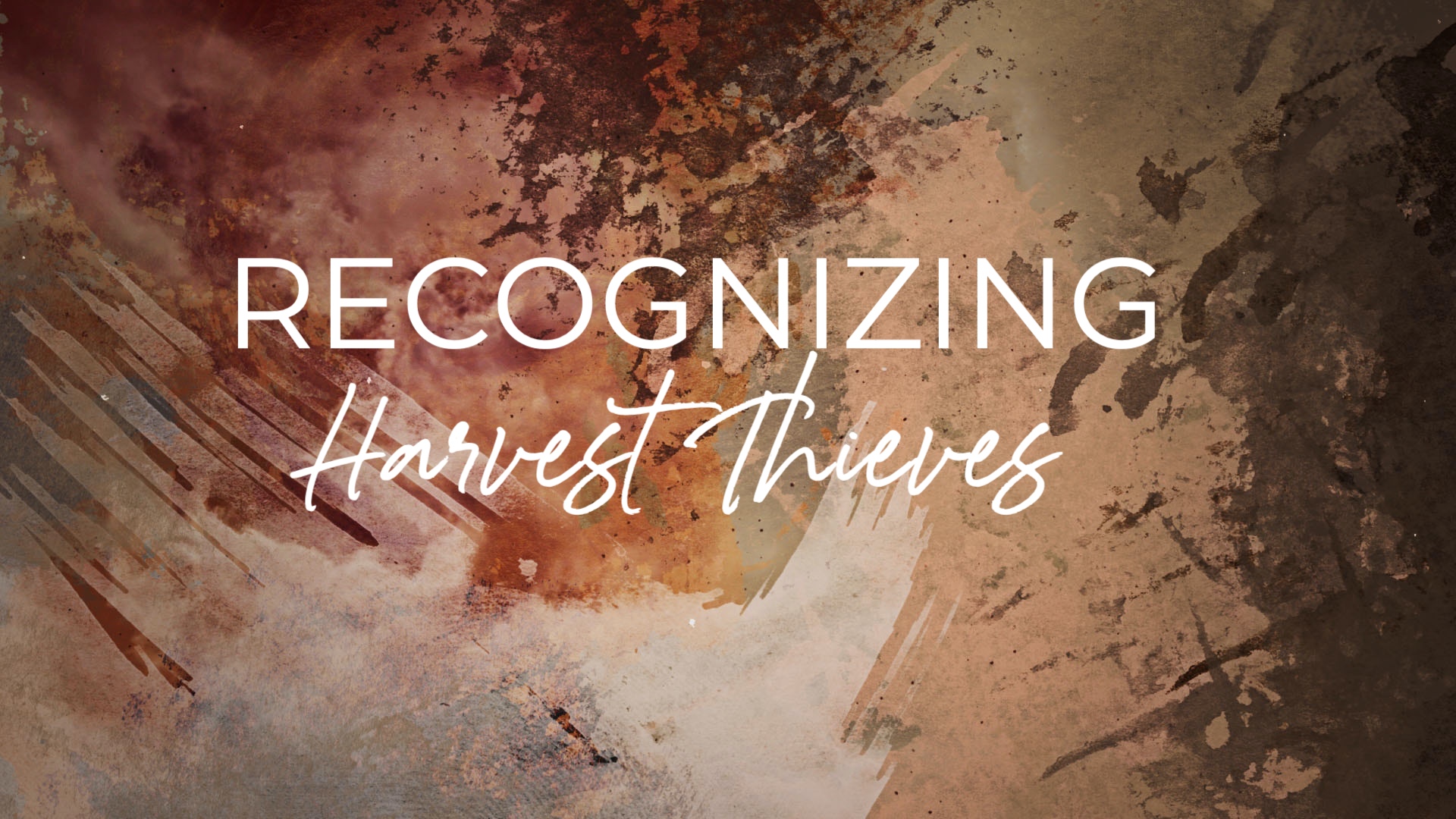 Recognizing Harvest Thieves