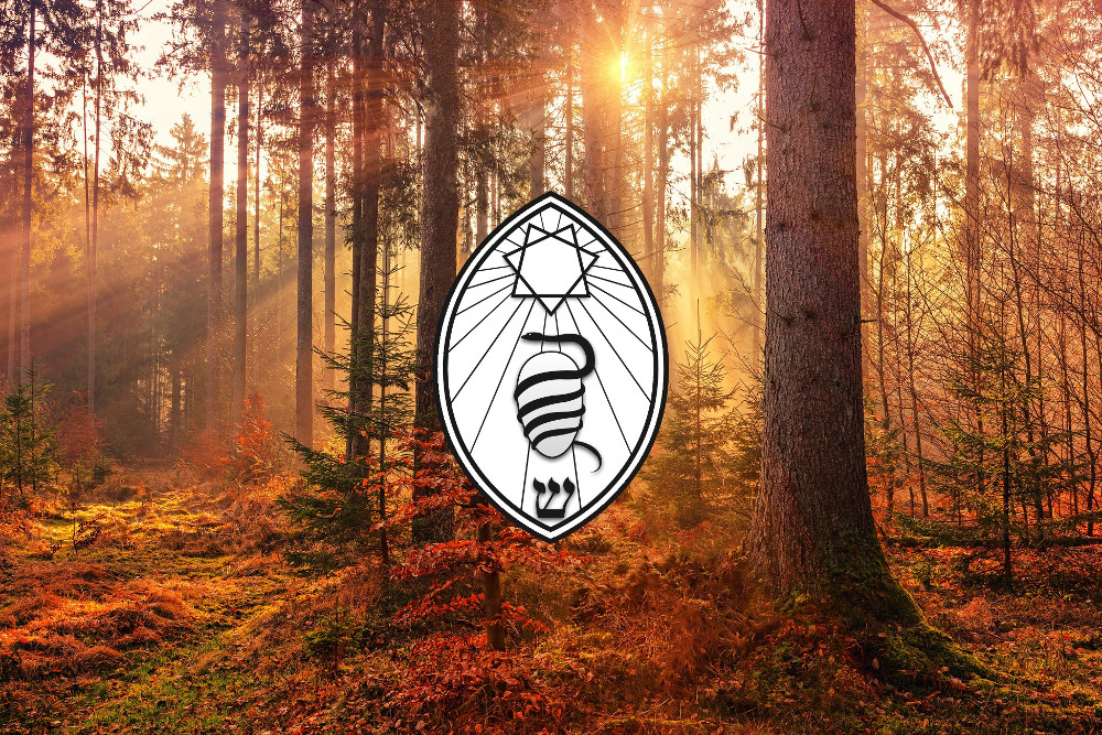 Episode 295:  Dr. David Shoemaker:  Living Thelema/The Way of the Will