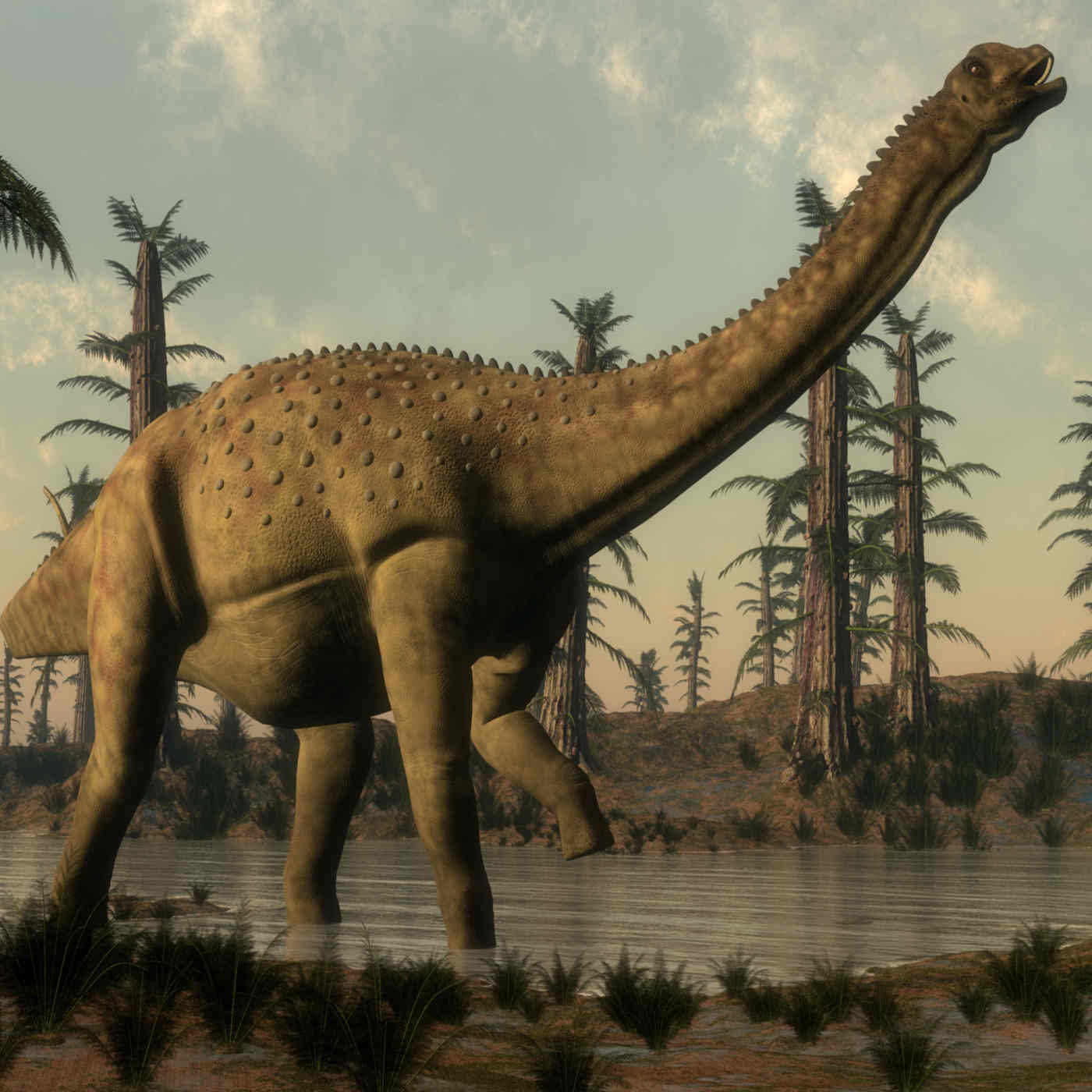 Evolution Is Making Us Sick