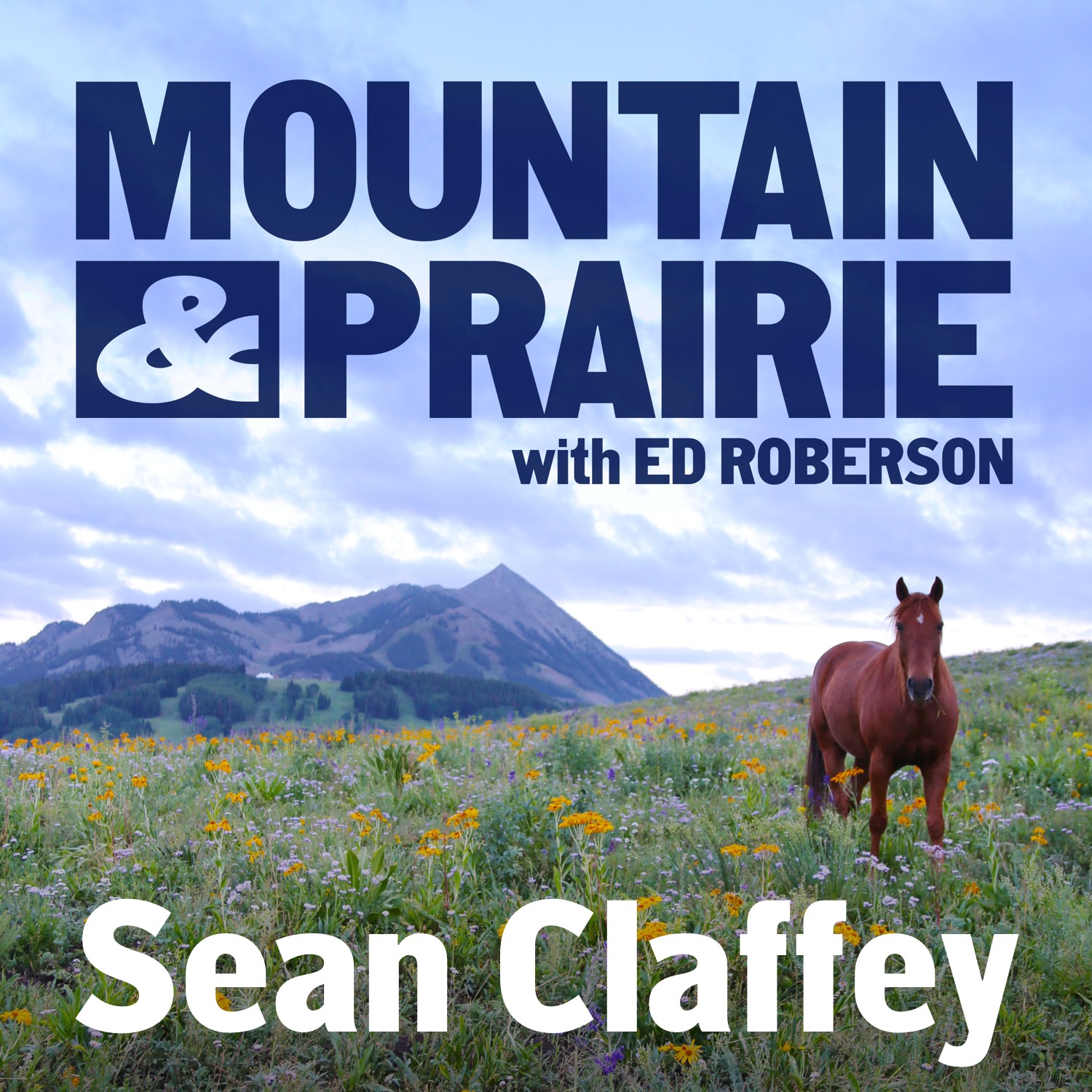 Sean Claffey – A Resilient Vision for Sagebrush Country