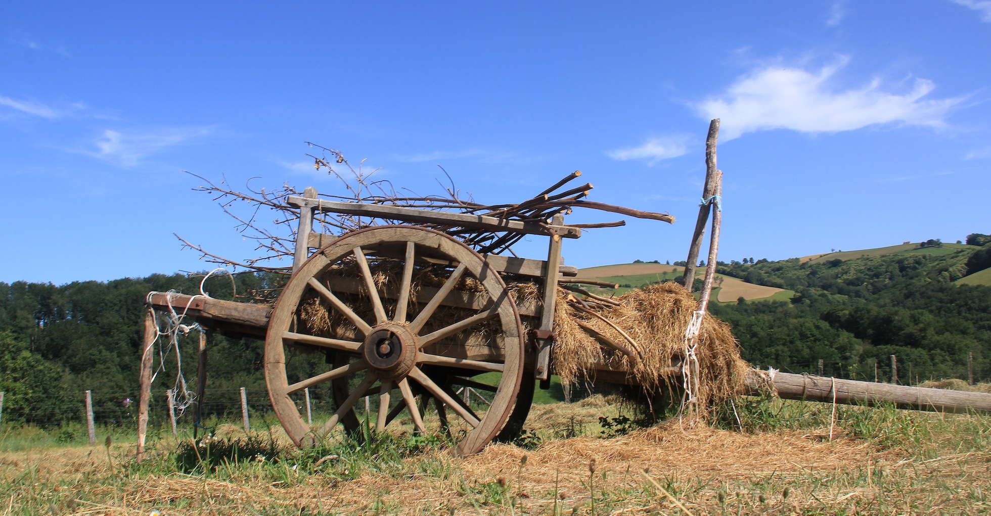 Talking to the Wheelwrights