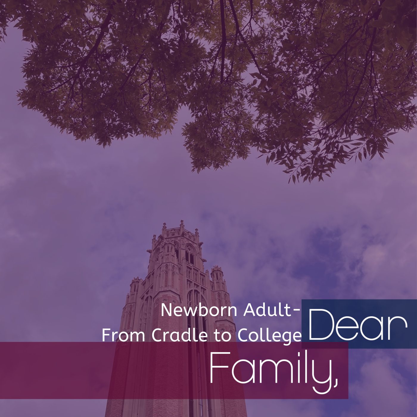 Dear Family,