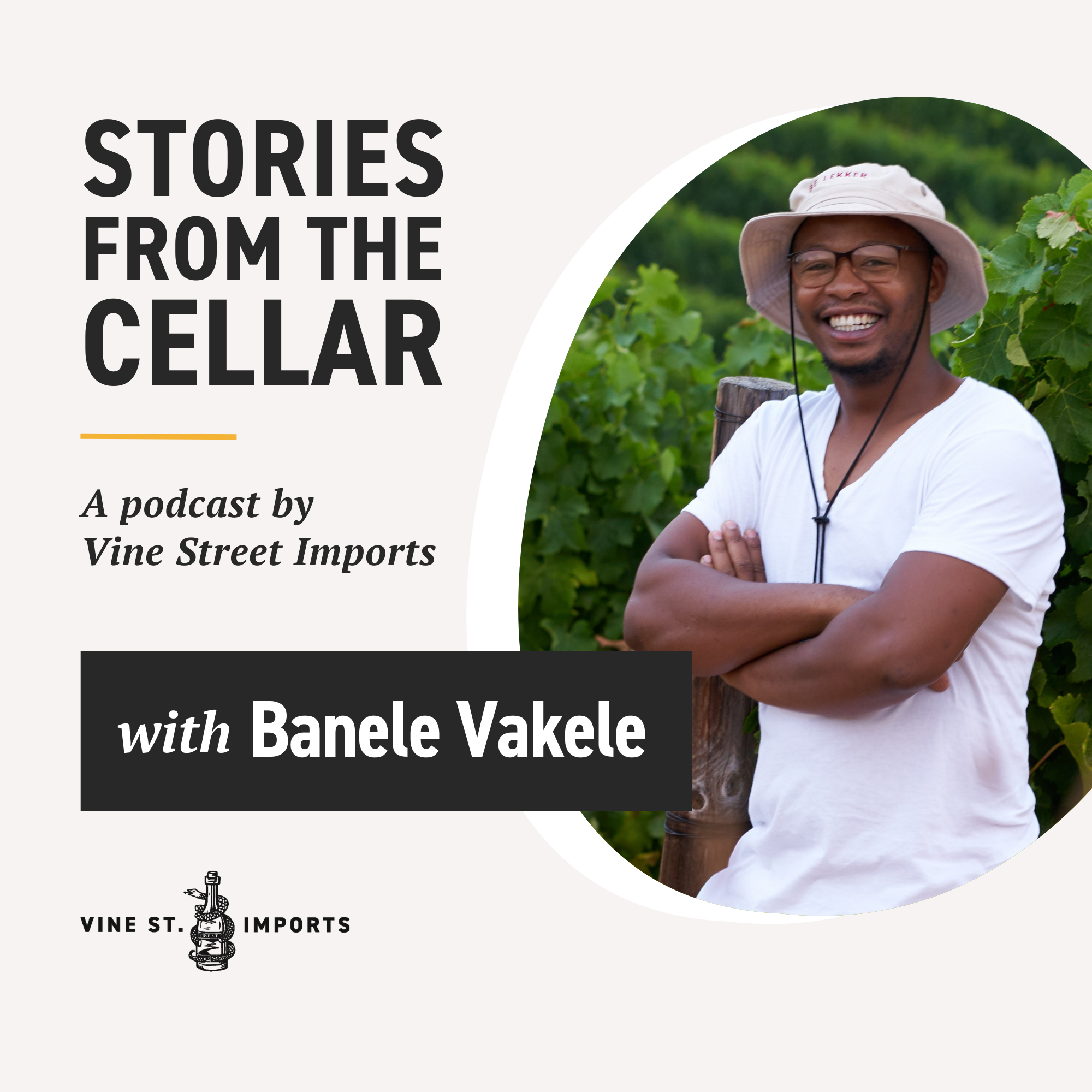 Stories From the Cellar