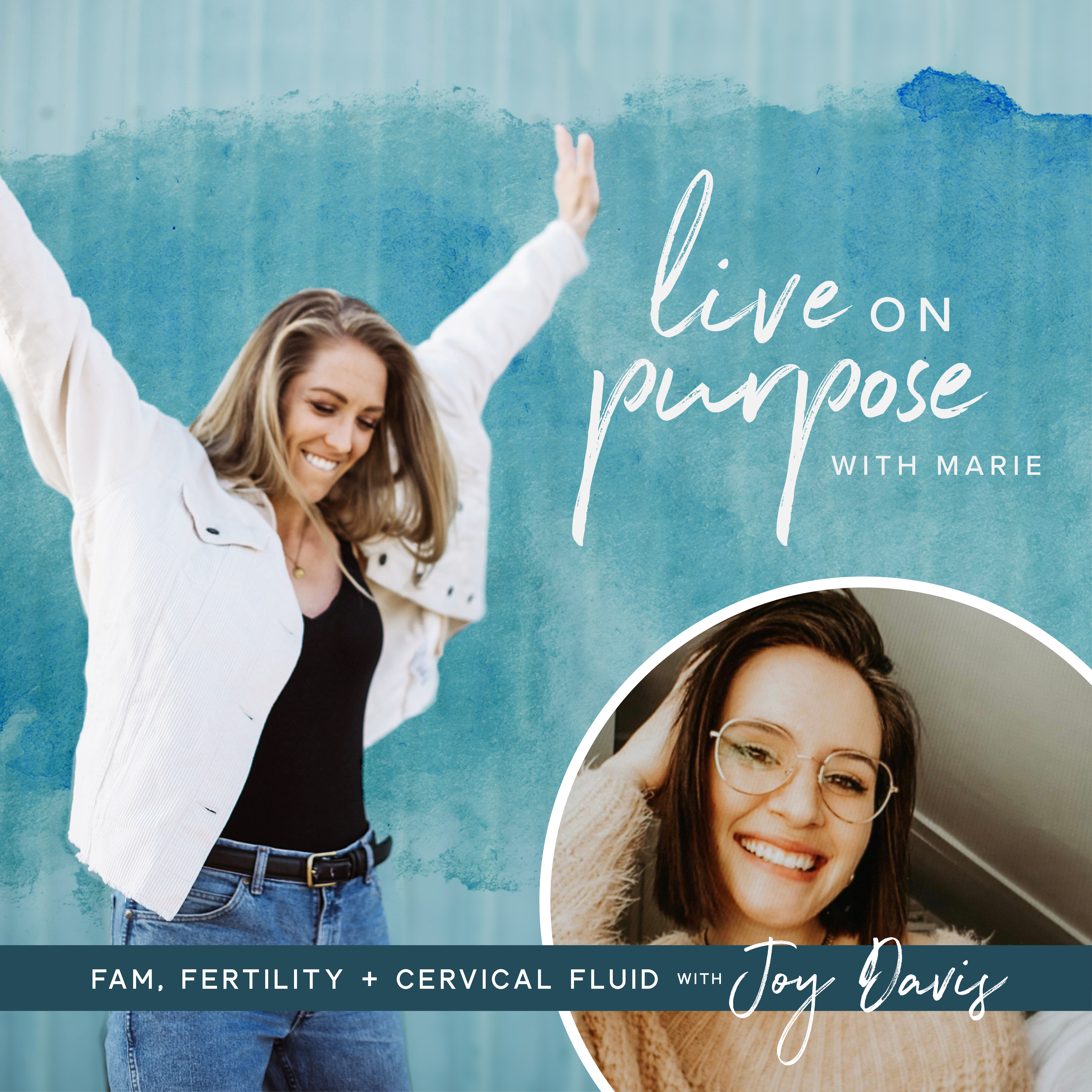 73. FAM, Fertility and Cervical Fluid with Joy Davis