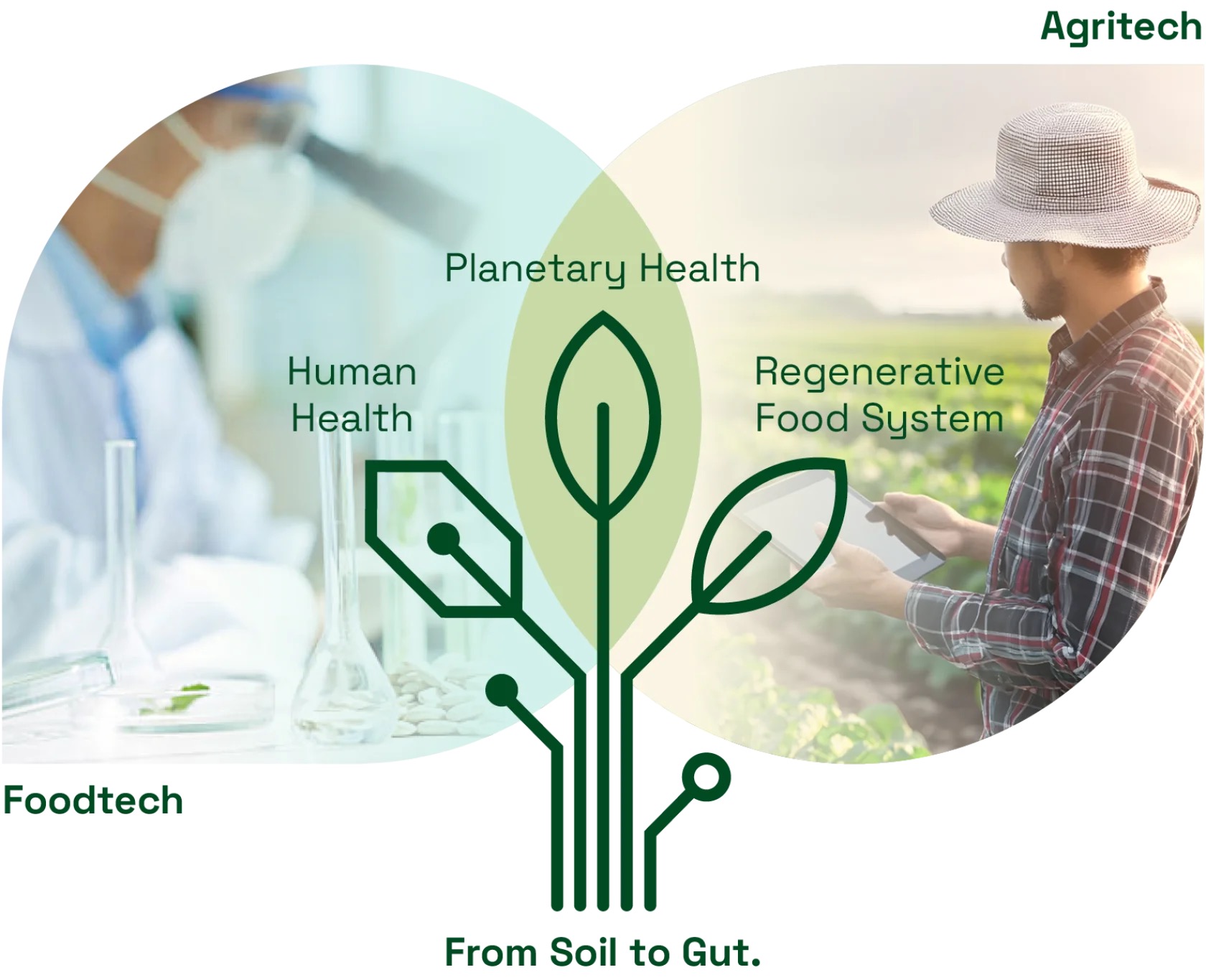 From Soil To Gut - Basel City and Aargau on Partnership in Food Health episode artwork