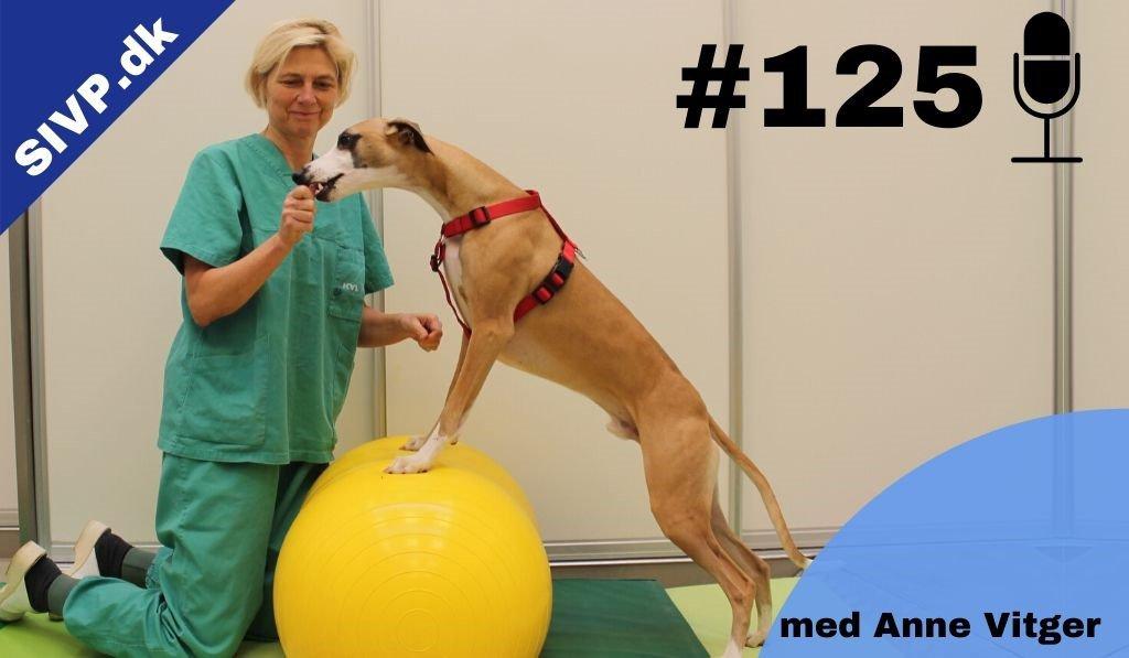 Succes I Veterinær Praksis Podcast - Sammen om at blive bedre