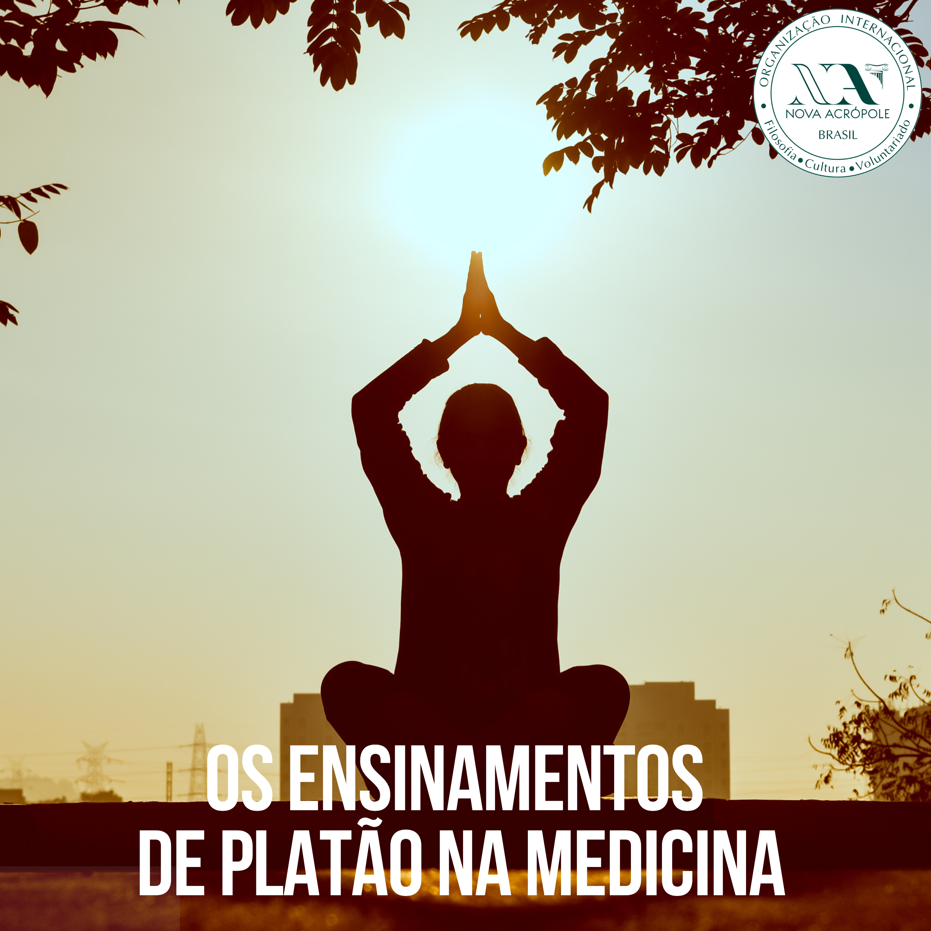 Ensinamento de Platão na Medicina