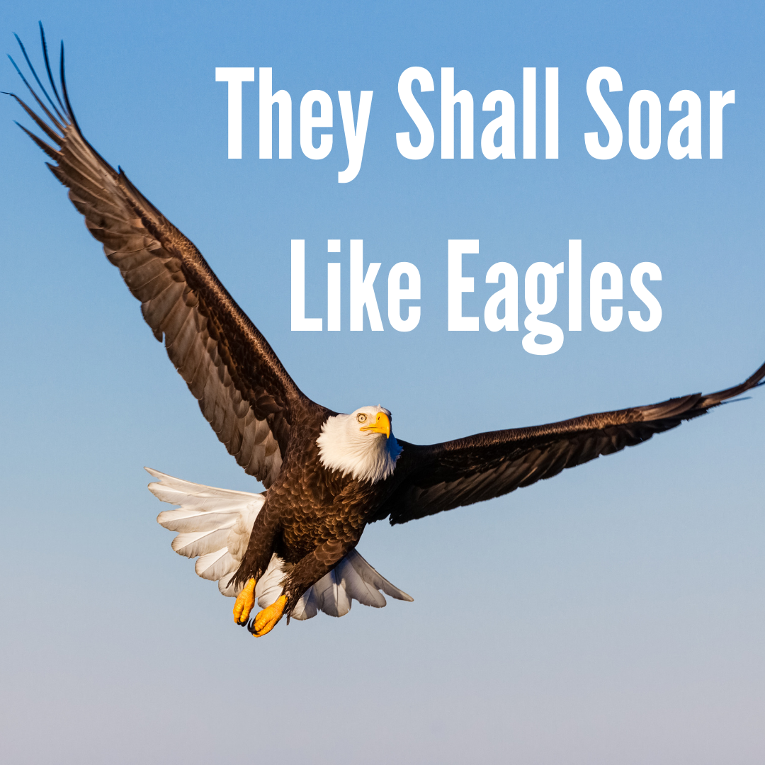 Special Music - They Shall Soar Like Eagles