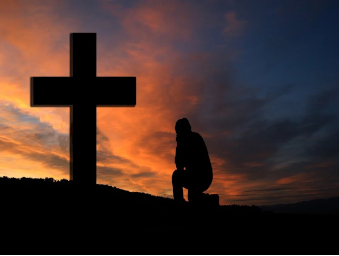 Did God Create by Evolution?