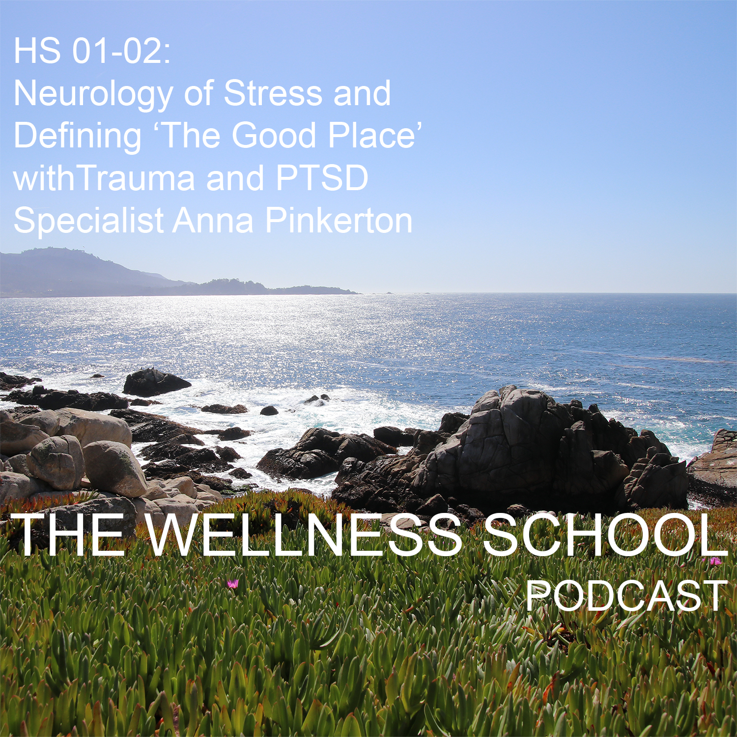 HS 01-02:  Neurology of Stress and Defining 'The Good Place' with Trauma and PTSD Specialist Anna Pinkerton