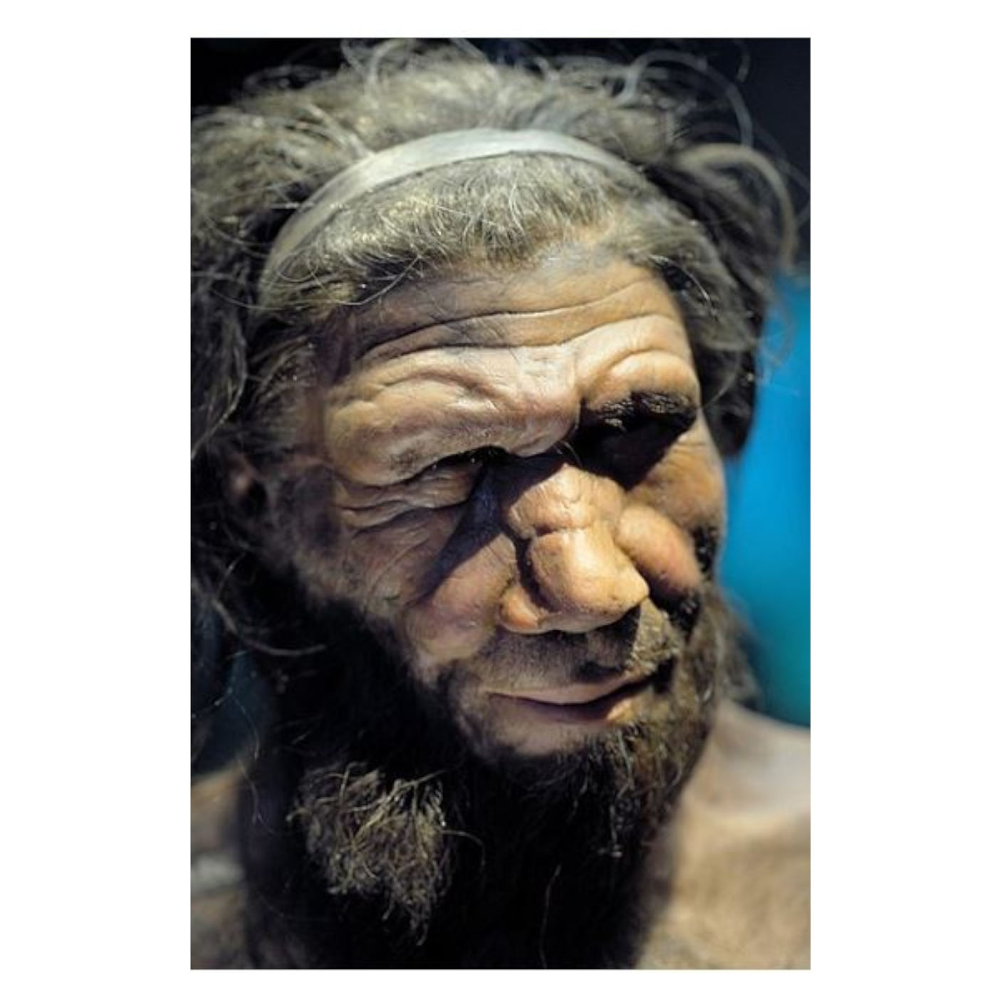 Who Was Neandertal?