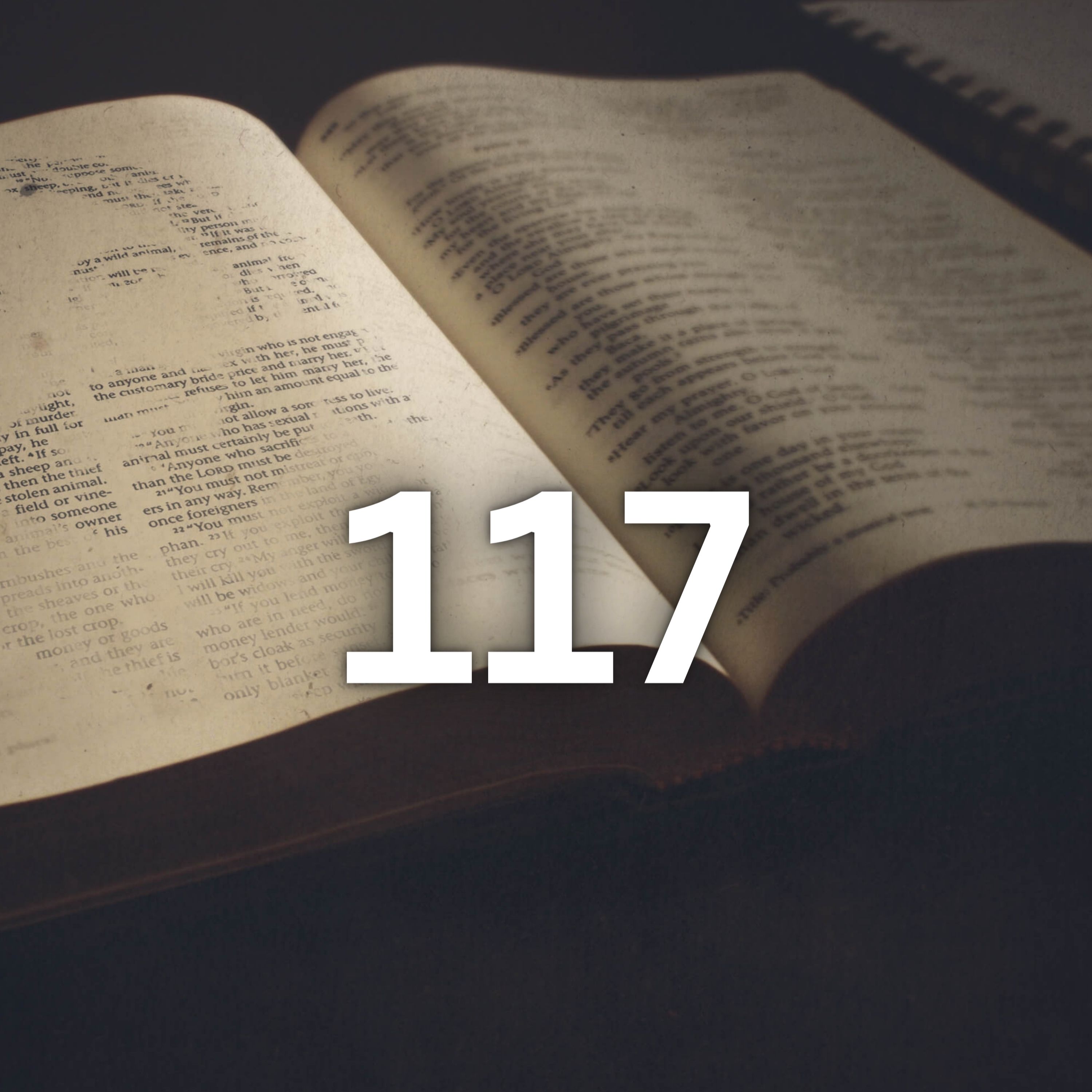 Walking With The Word | The Bible In 365