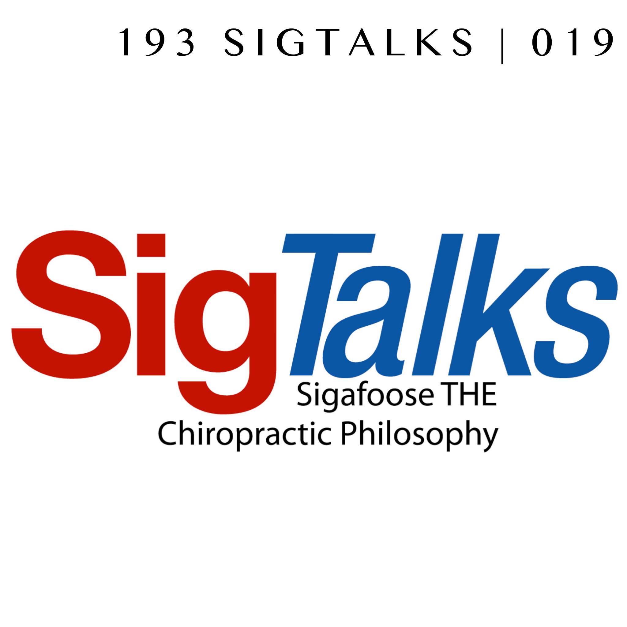 193 SigTalks | 019