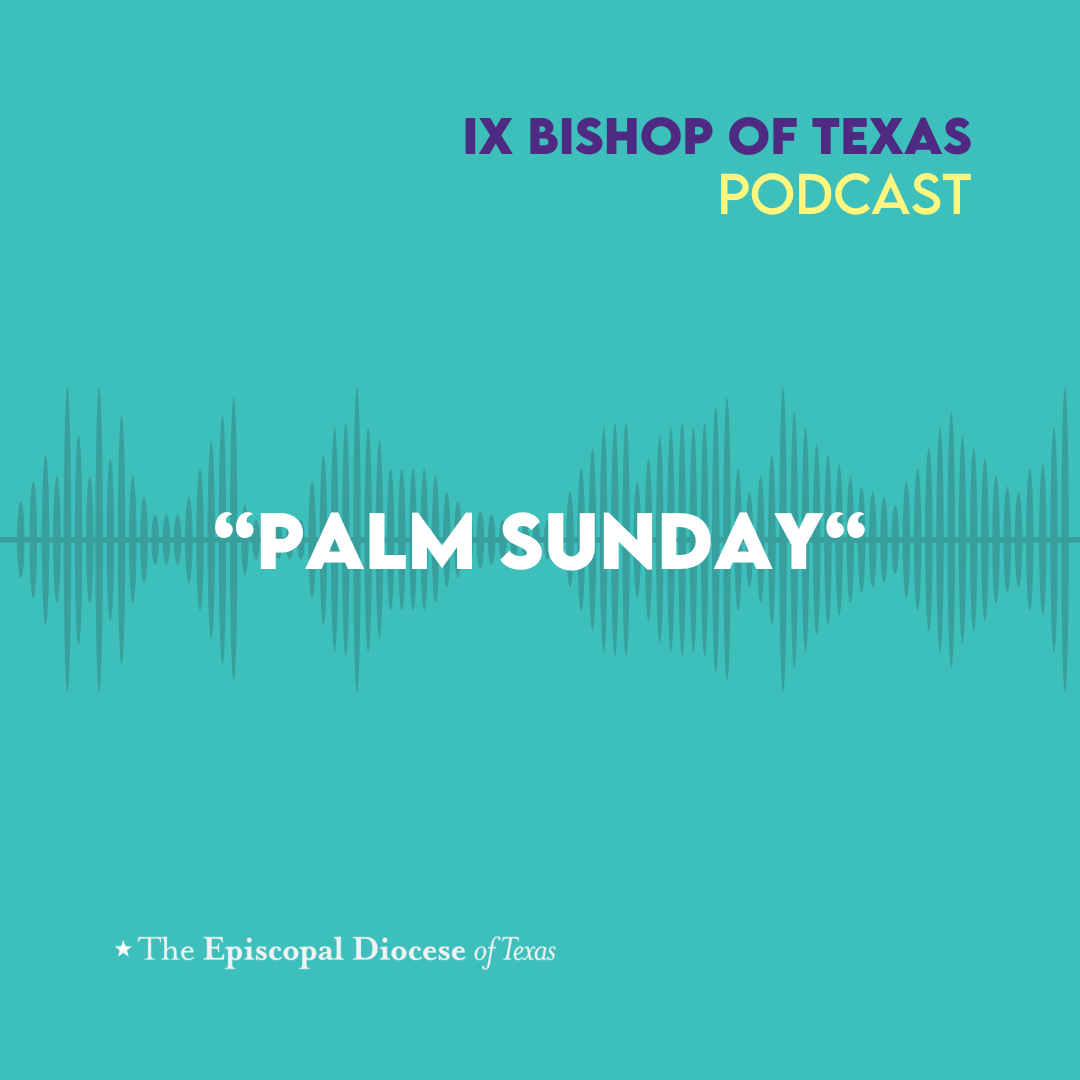 Ninth Bishop of Texas