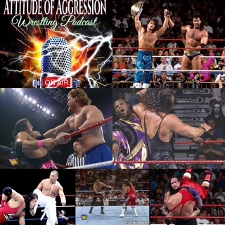 The Big Five Project: Summer Slam '95- Episode 313