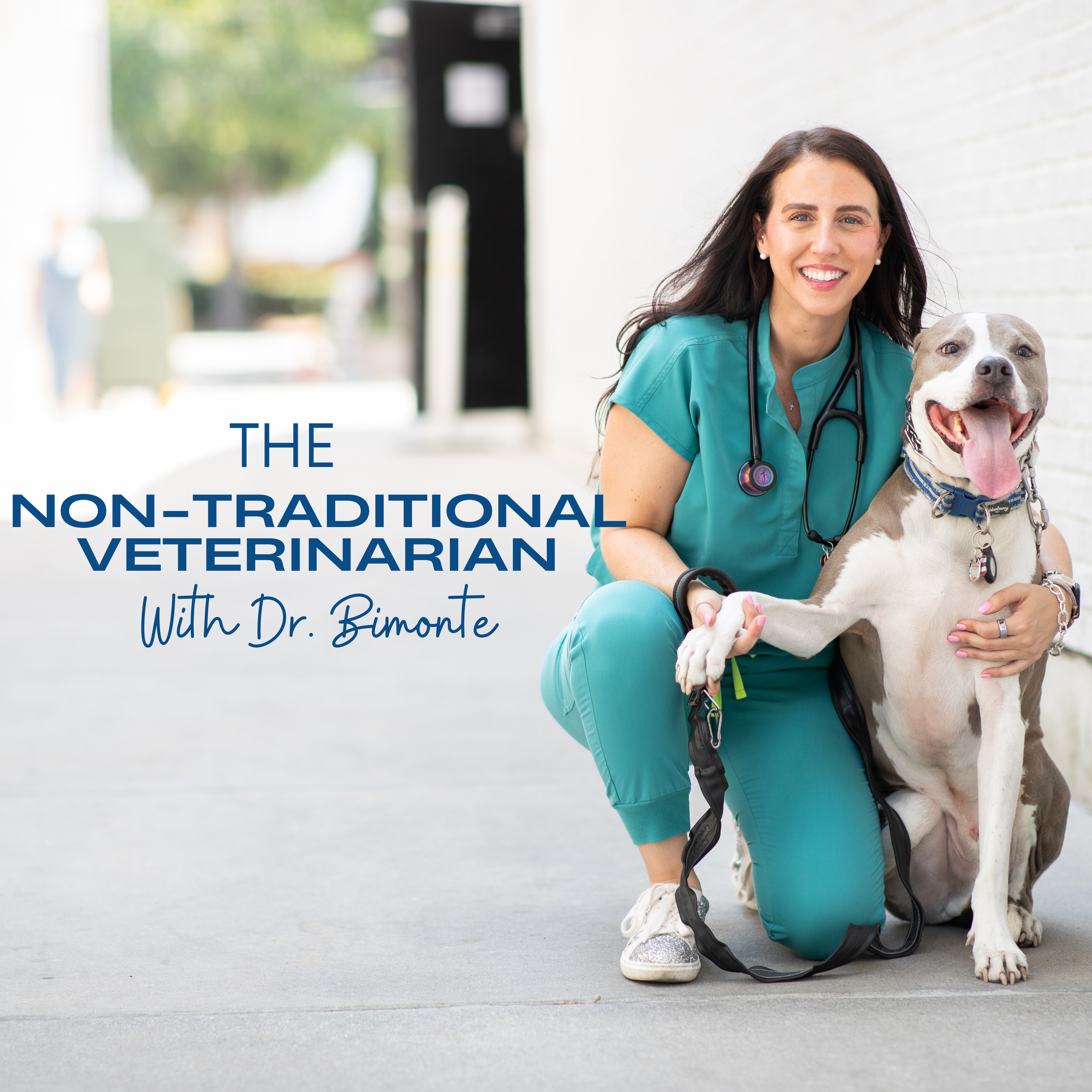 The Non-Traditional Veterinarian