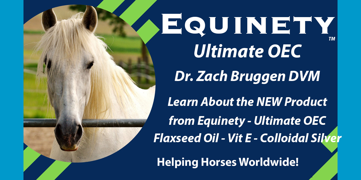 Team Equinety Podcast
