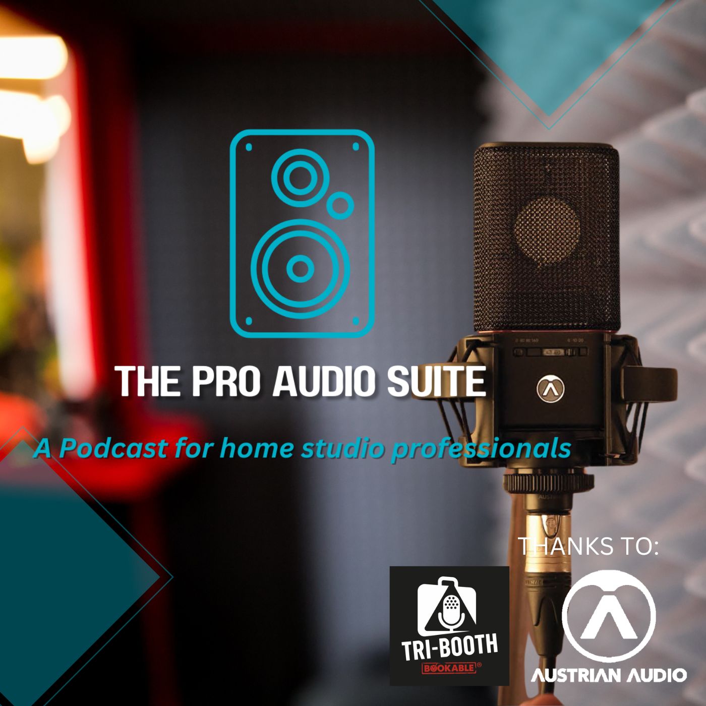 Mastering the PASport VO – The Ultimate User Guide