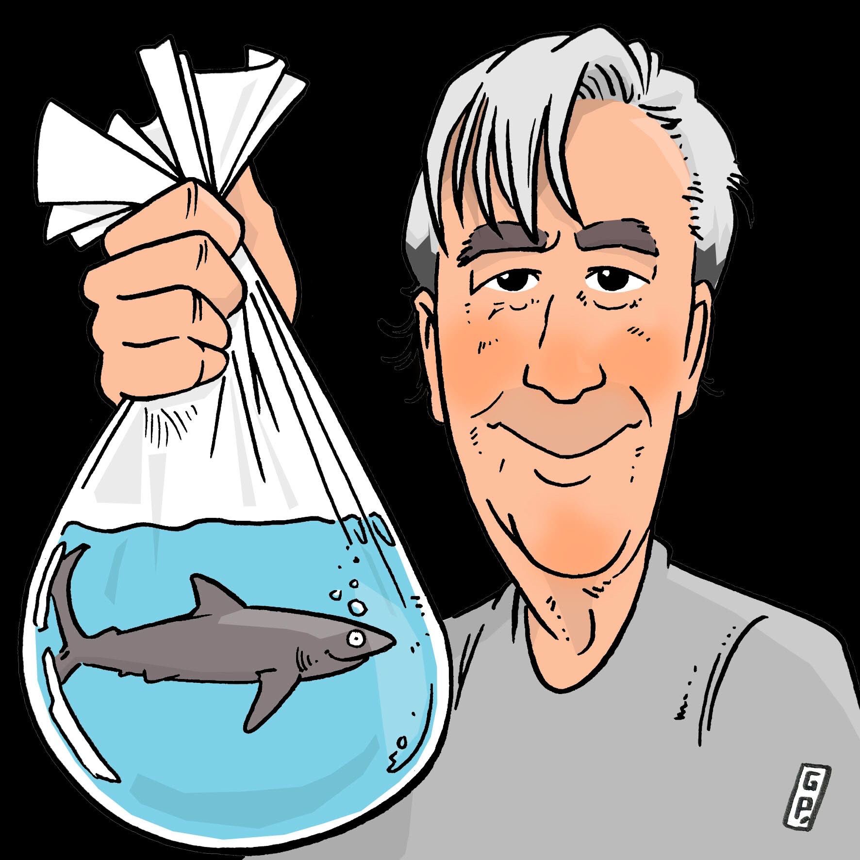 Beneath the Fins: David McGuire on Why Sharks Matter - Interview with The Temple of Surf - The Podcast
