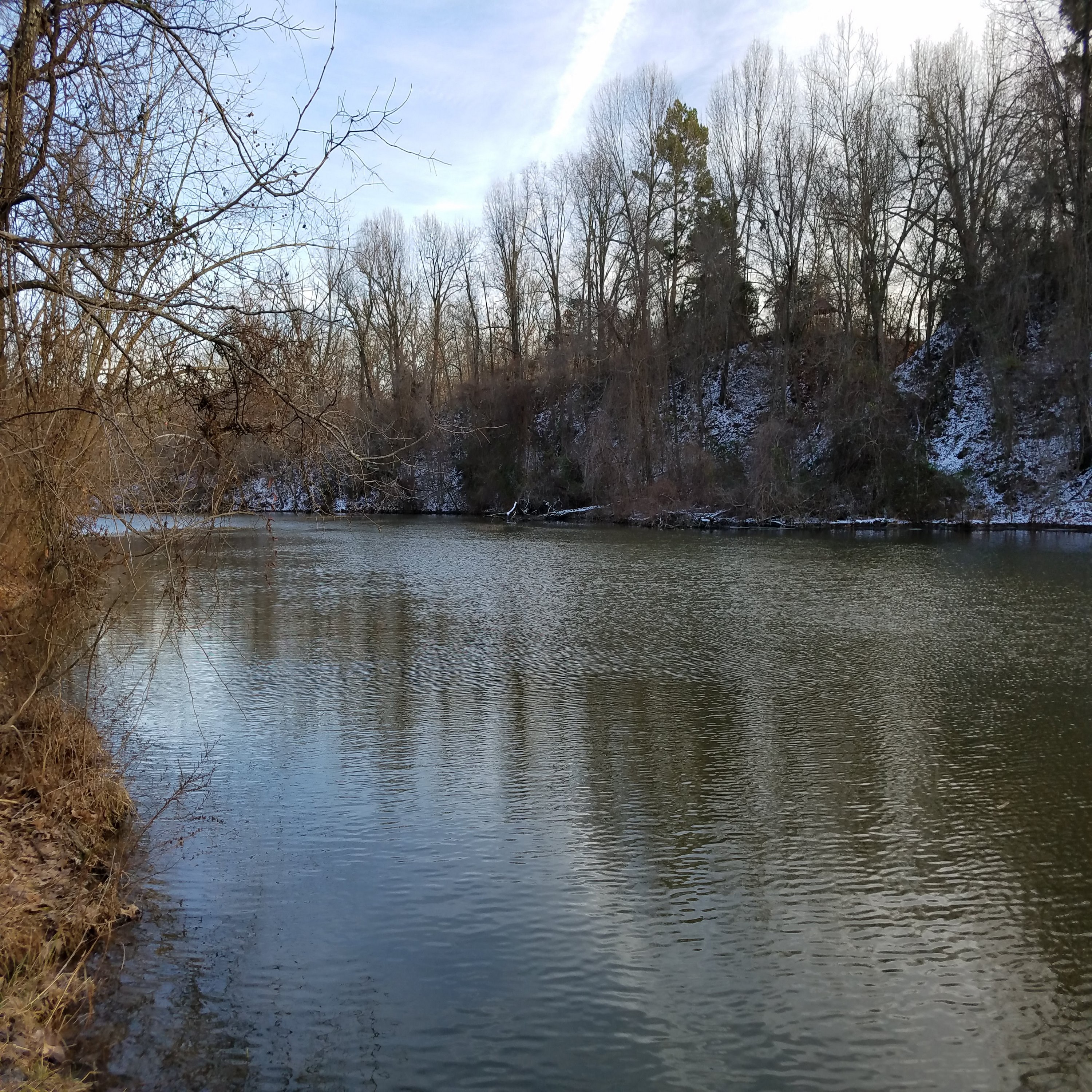 Running: A FEVER