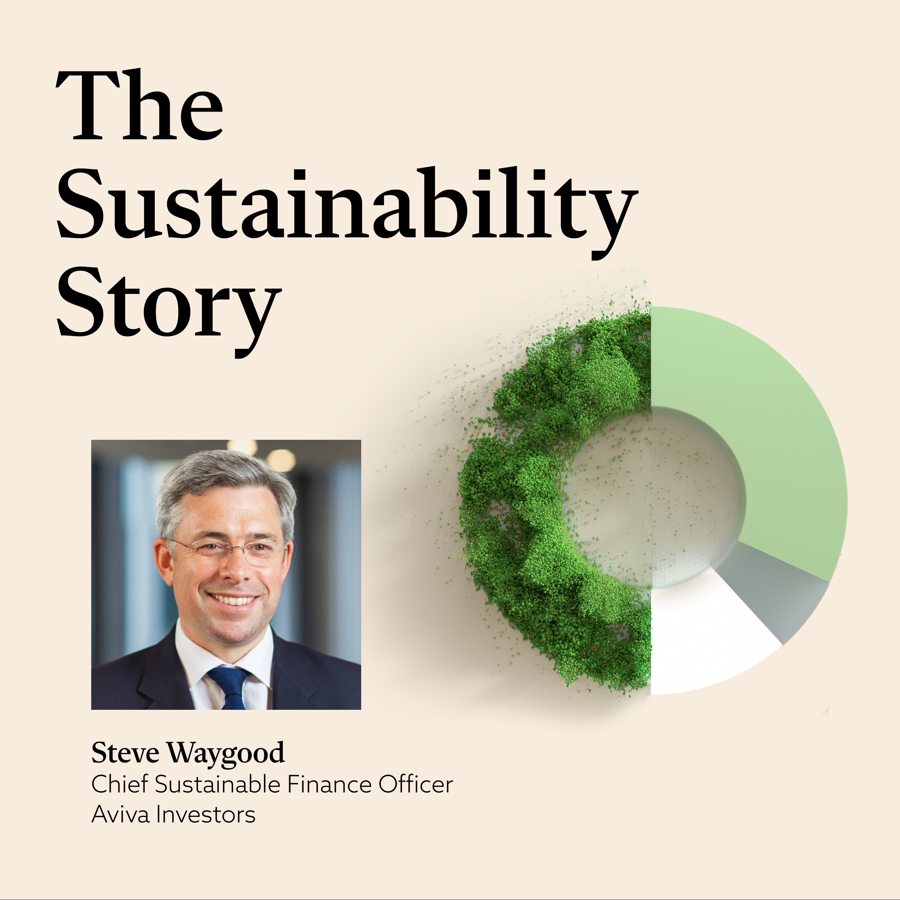 The Sustainability Story