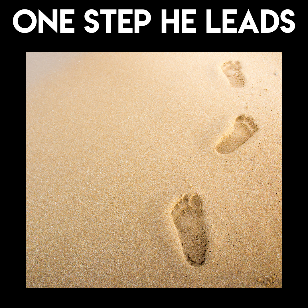 Special Music - One Step He Leads