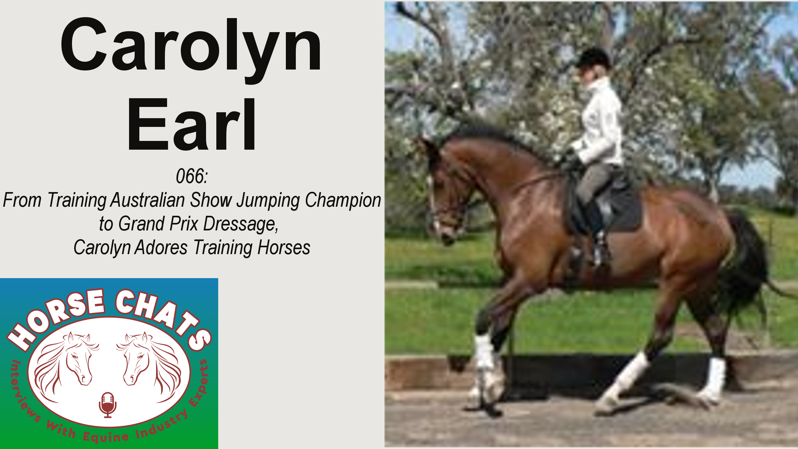 0066: Carolyn Earl - From Training Australian Show Jumping Champion to Grand Prix Dressage, Carolyn Adores Training Horses