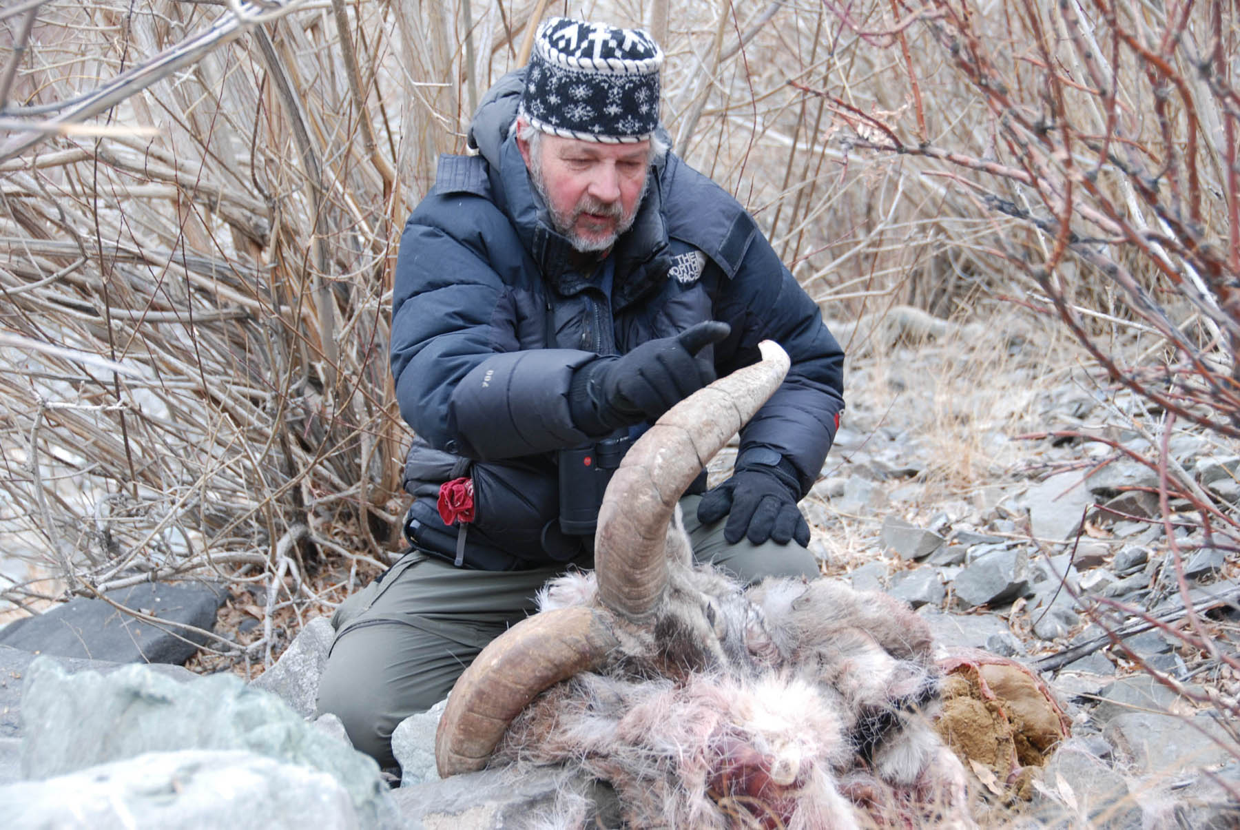 BeProvided Conservation Radio Podcast