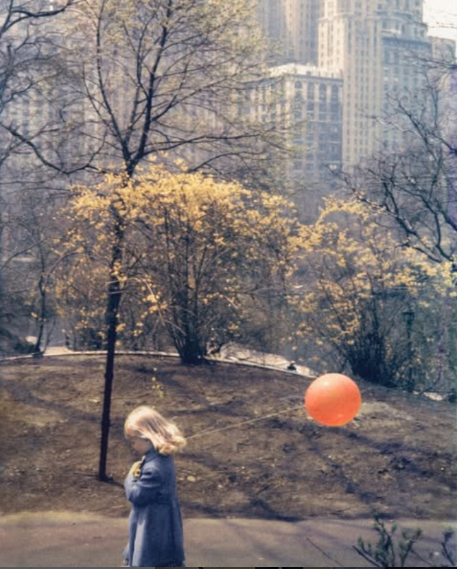 Vidro Azul de 4 de Novembro de 2025 Vidro Azul de 4 de Novembro de 2025