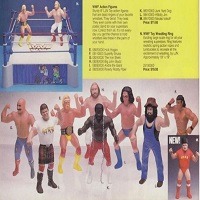 The End of 1985 and a New World Champion