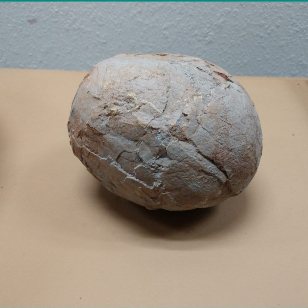 An Egg that Won’t Hatch