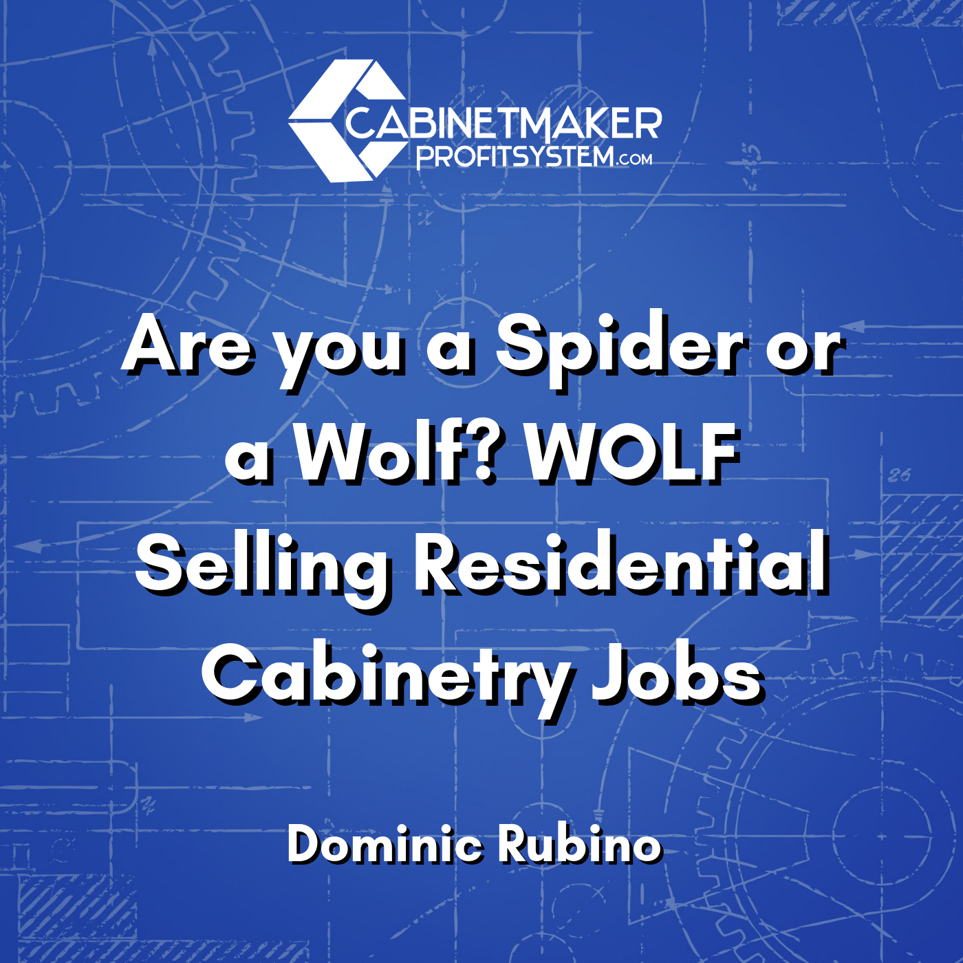 Cabinet Maker Profit System Podcast