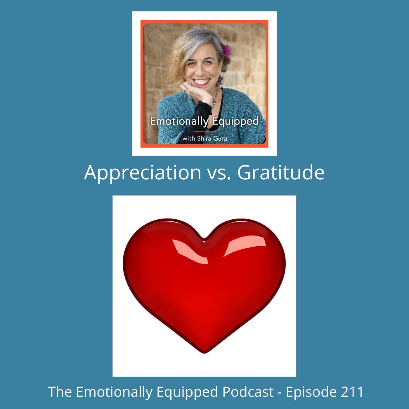 211: Appreciation vs Gratitude