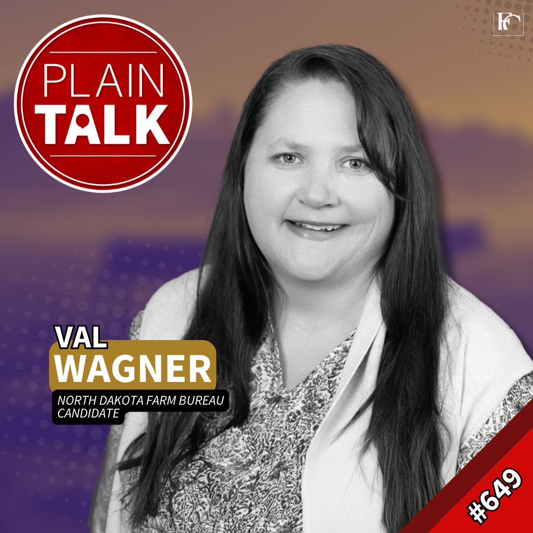 649: 'The fringe is getting more attention than they are' (Video)