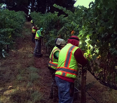 On The Wine Road Podcast
