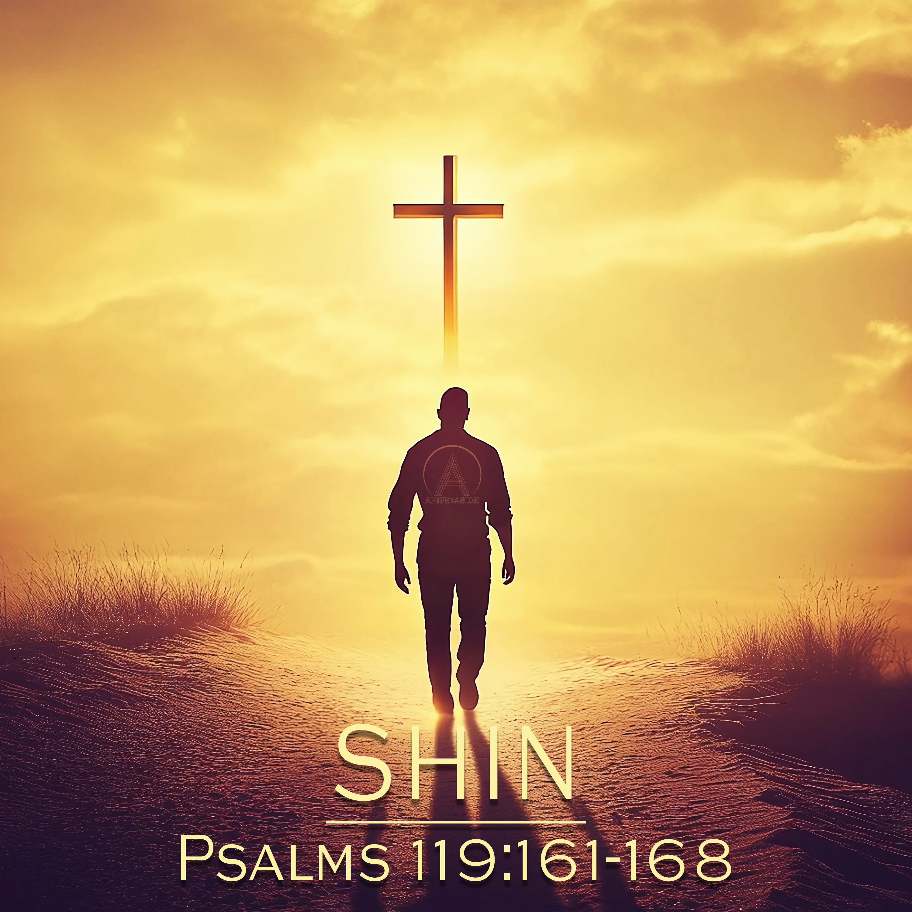 Arise and Abide