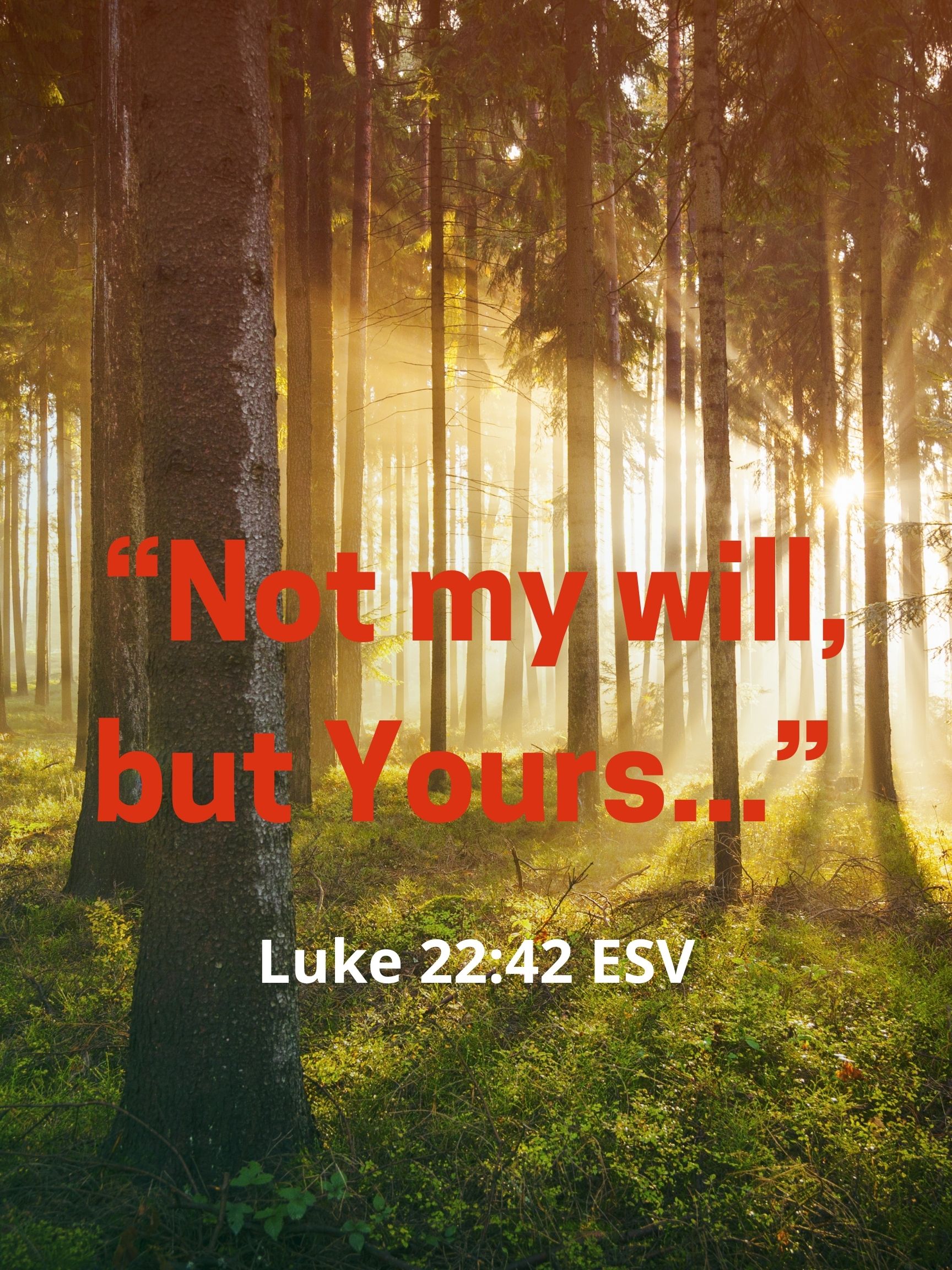 Hearts Set Free podcast